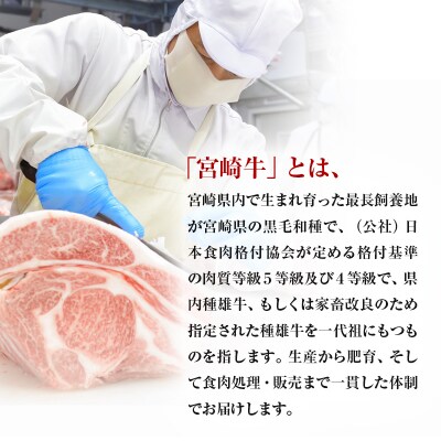 宮崎牛赤身4種食べ比べセット(スライス/焼肉/サイコロ/ステーキ)合計400g　ya[2838]