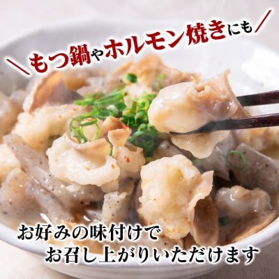 訳あり国産牛ホルモン1.2kg(小腸)牛もつ小分け200g×6　もつ鍋焼肉に[3046]