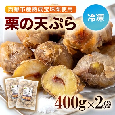栗の天ぷら(冷凍)800g(400g×2)【先行受付】[3045]