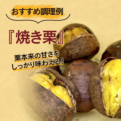 宮崎県西都市産　低温熟成栗(生栗)1kg 【先行受付】[3110]