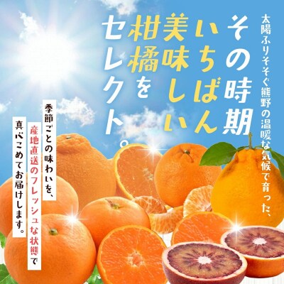 2自然塾　季節の柑橘詰合せ【定期便3回】
