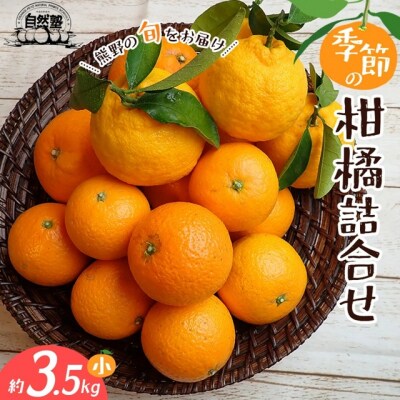 6自然塾　季節の柑橘詰合せ　小【1回】