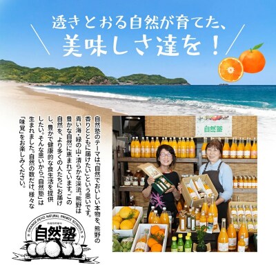 6自然塾　季節の柑橘詰合せ　小【1回】