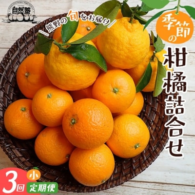 7自然塾　季節の柑橘詰合せ　小【定期便3回】