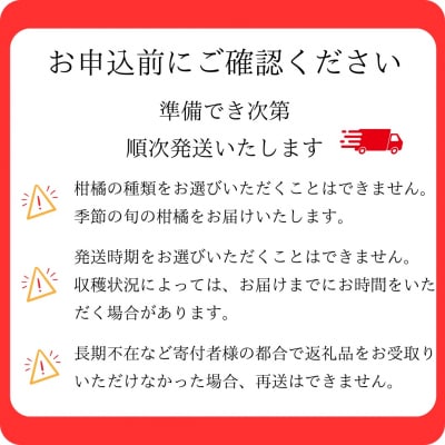 7自然塾　季節の柑橘詰合せ　小【定期便3回】