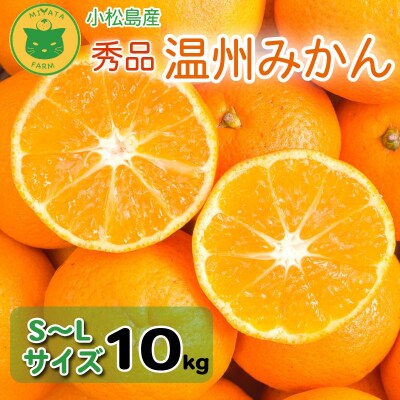 【2026年10月20日から順次発送】 みかん 秀品 温州みかん10kg  早生みかん ミカン