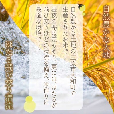 【6ヶ月定期便】ほたる米「大和の里」広島あきろまん 10kg [066-012]