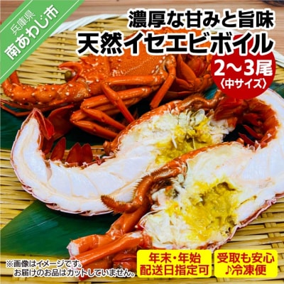 【年末年始配送日指定可】海老の代表格!天然イセエビボイル(中2尾～3尾)【受取も安心♪冷凍便】