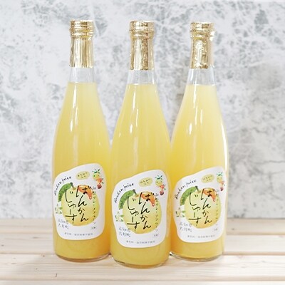 柑橘「河内ばんかん」ジュース3本セット