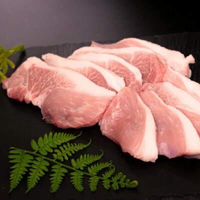 【国産】力豚 豚肉 焼肉3種盛 900g (バラ300g ウデ200g ロース400g) 焼き肉 B