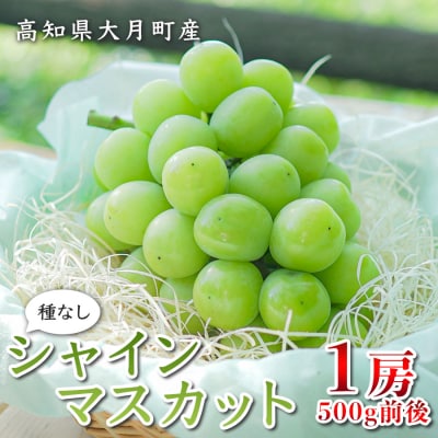 【2026年8・9月発送】 シャインマスカット 1房 (500g) 種なし ぶどう 人気 贈答 果物