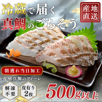 朝獲れ 真鯛 フィーレ 皮付き 500g以上 刺身 冷蔵 養殖 たい タイ マダイ セ