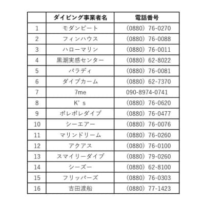 大月町共通ダイビングチケットA