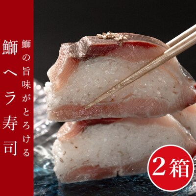 鰤ヘラ寿司&鰤ユッケ 2箱 文化庁認定 100年フード 郷土料理 伝統 ぶり ブリ ユッケ 冷凍便