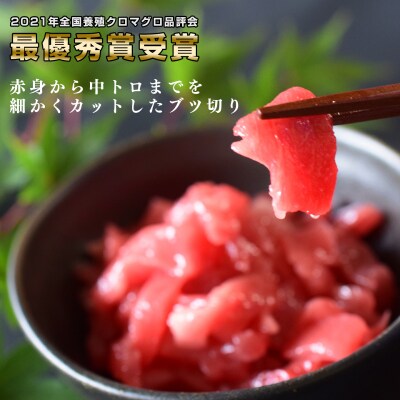 【3回お届け】黒潮本マグロ 贅沢! 食べ比べセット