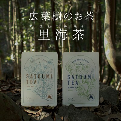 【高知県 大月町産】広葉樹のお茶“里海茶”