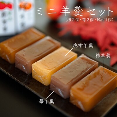 【大月の銘菓】ミニ羊羹セット(5本入)
