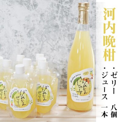 【高知県 大月町産】ばんかんじゅーす1本・ばんかんぜりー8個セット