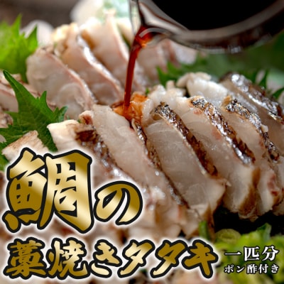 鯛の藁焼きタタキ 1匹分 460g以上 真鯛 鯛 タイ 刺身 ぽん酢付 配達日指定可 高知県大月町