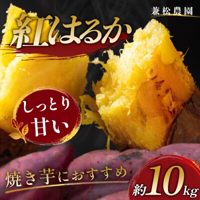 さつまいも 熟成 紅はるか 約10kg 国産 べにはるか スイーツ おやつ 栽培期間中農薬不使用