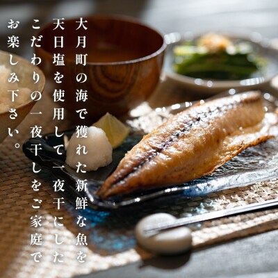 【12回お届け】こだわりの一夜干しセット(12枚~15枚)