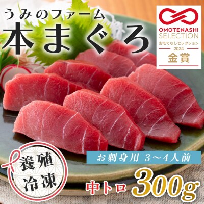 国産 養殖本マグロ 中トロ300g 刺身用 冷凍 柵 ギフト 贈答 産地直送 海鮮丼 寿司 御歳暮