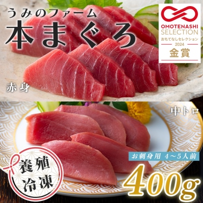 国産 養殖本マグロ2種盛 中トロ 赤身 400g 刺身用 冷凍 柵 ギフト 贈答 産地直送 丼 寿司