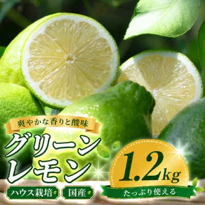 国産 グリーンレモン 1.2kg ハウス栽培 レモン 柑橘 香り 爽やか レモンサワー レモネード