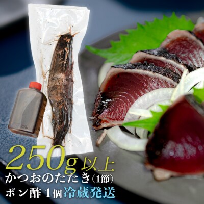 数量限定 希少 生かつお 藁焼きタタキ 250g以上 冷蔵 鰹たたき 高知県大月町 本場の香り