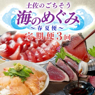 【定期便 3回】 土佐のごちそう 海のめぐみ 海鮮 秋冬便 藁焼き 鰹たたき 一夜干し 干物 漬け丼