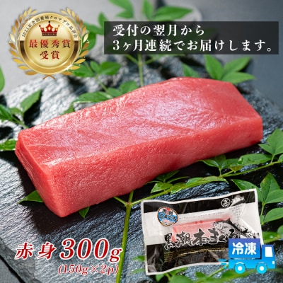 まぐろ マグロ 本鮪 黒潮本まぐろ 赤身 定期便 3回 300g × 3回 刺身 柵 冷凍 産地直送