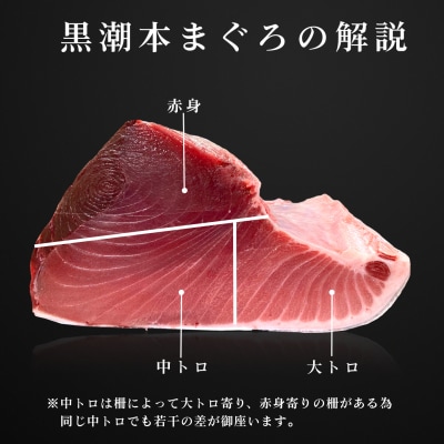 まぐろ マグロ 本鮪 黒潮本まぐろ 大トロ 中トロ 赤身 定期便 3回 計450g × 3回 刺身