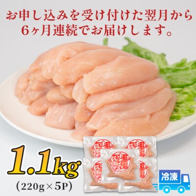 鶏肉 ささみ 1.1kg 定期便 6回 (1.1kg×6回) 鶏ささみ ササミ 若鶏 チキン 小分け