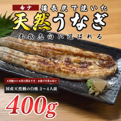 希少 国産天然うなぎ白焼き 約3～4人前 400g 備長炭焼き 冷凍 うなぎ 白焼 四万十川