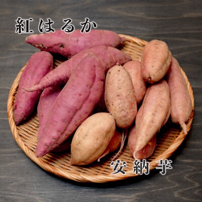 さつまいも 食べ比べ 約7kg 紅はるか 安納芋 各約3.5kg 熟成 焼き芋 しっとり ねっとり