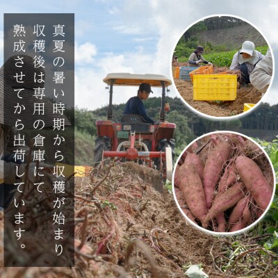 【訳あり】さつまいも 熟成 安納芋 約5kg 国産 安納いも スイーツ おやつ 栽培期間中農薬不使用