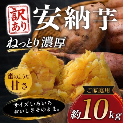 【訳あり】さつまいも 熟成 安納芋 約10kg 国産 安納いも スイーツ おやつ 栽培期間中農薬不使