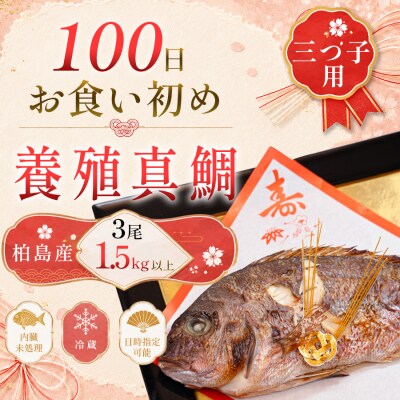 お食い初め 真鯛 3尾 三つ子 1.5kg以上 尾頭付き 鯛 3匹 真空パック 祝い鯛 100日祝い