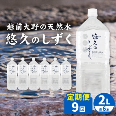 【9ヶ月連続お届け】< 定期便 >越前大野の天然水　悠久のしずく PET2L×6本 計54本