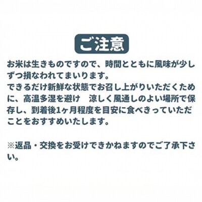 令和7年産　淡路島産キヌヒカリ　玄米20㎏