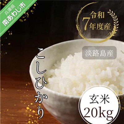 令和7年産　淡路島産こしひかり　玄米20kg