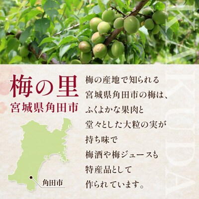 【宮城県角田市の梅酒】岸浪園の梅酒　青梅　1,800ml×1本