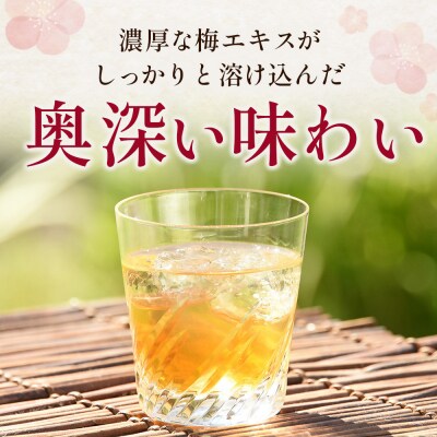 【宮城県角田市の梅酒】岸浪園の梅酒　青梅　1,800ml×1本