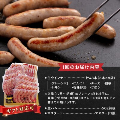 【全3回定期便】おすすめ ギフトセット (ハム/ ソーセージ/ ウインナー) [AAC013]