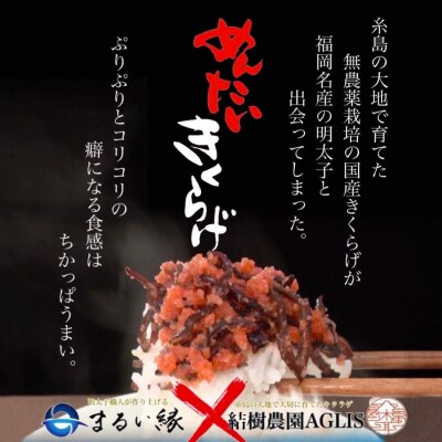 【全6回定期便】結樹農園アグリス めんたいきくらげ300g×3P【結樹農園アグリス】[AAJ009]