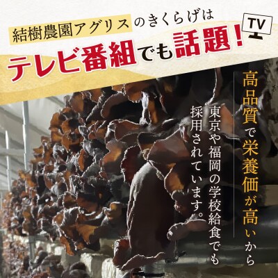 【全6回定期便】結樹農園アグリス めんたいきくらげ300g×3P【結樹農園アグリス】[AAJ009]