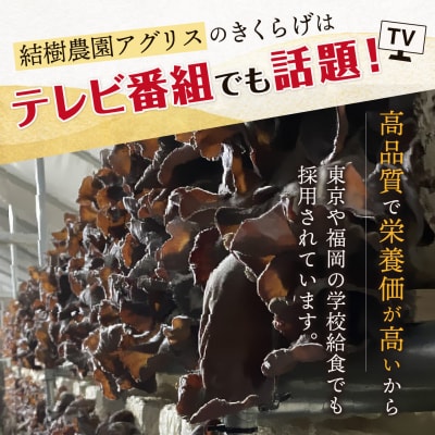 【全12回定期便】結樹農園アグリス めんたいきくらげ 300g×3P [AAJ010]