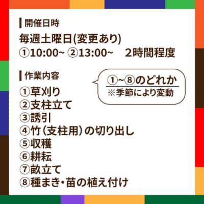 農業体験(1名) 栽培期間中農薬不使用 無化学肥料 無除草剤の畑で野菜のお世話体験[AAL001]