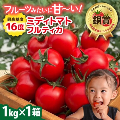 フルティカ 1kg 　糸島市 / かわぞえ農園 トマト 中玉トマト  [AAM005]