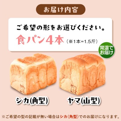 【常温】トーストが美味しい!無添加食パン 4本 (形が選べる)  糸島食ぱんや [AAP016]